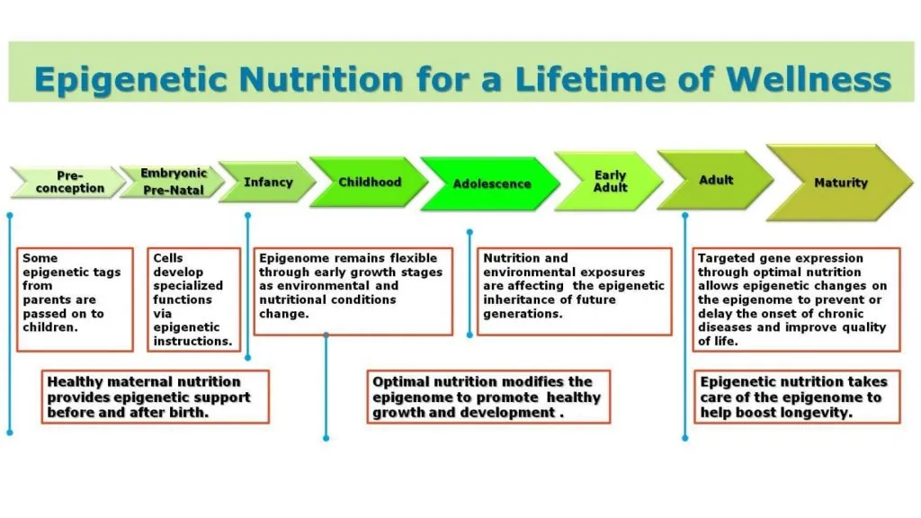 Epigenetic Nutrition for a Lifetime of Wellness Using Lunasin