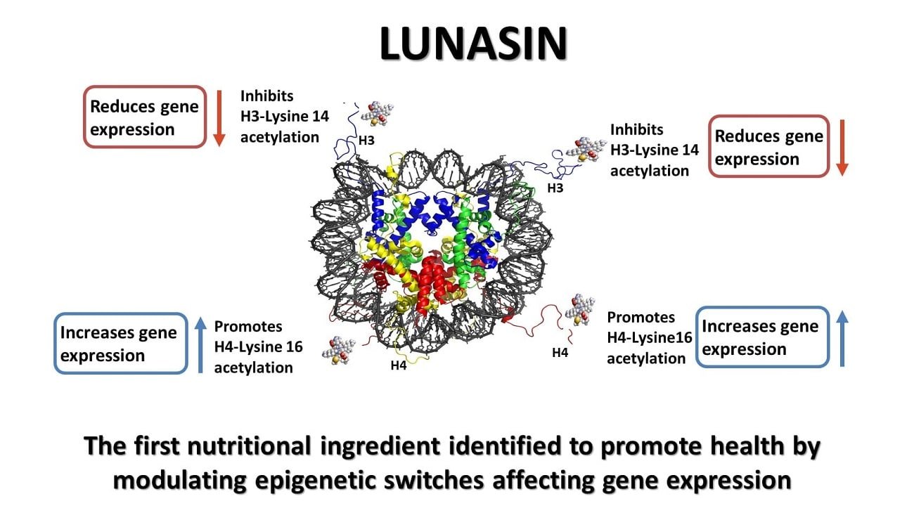 Lunasin and epigenetics
