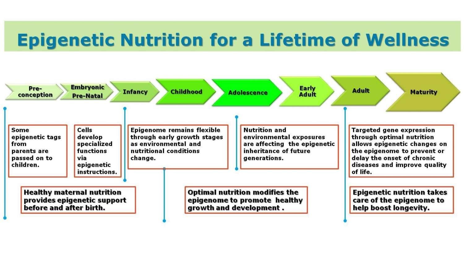 Epigenetic Nutrition for a Lifetime of Wellness Using Lunasin