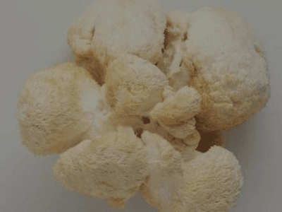 Supports memory, focus, and mood balance.