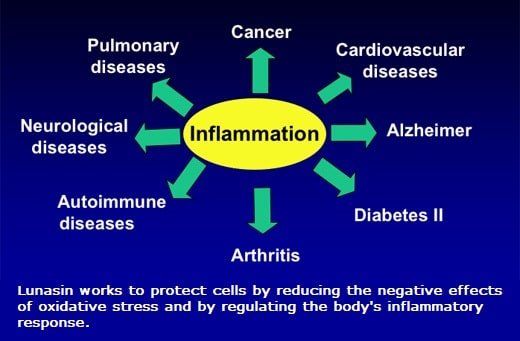 Lunasin reduces inflammation at the cellular level