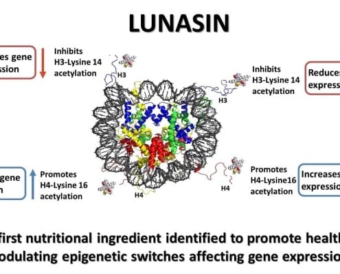 Lunasin and Epigenetic Switches