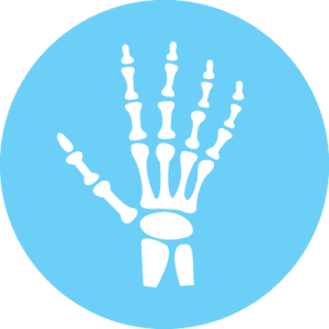 Bone, Joint & Muscle Support